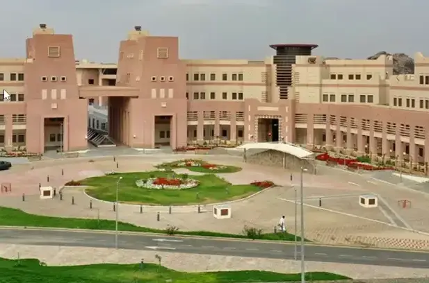 Organic catalyst discovery points to enhanced palladium applications in green chemistry