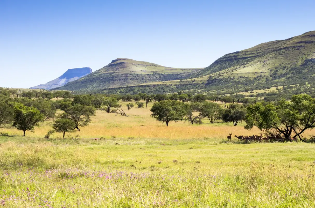 Southern Palladium completes Pre-Feasibility Study at Bengwenyama, eyes mining operations