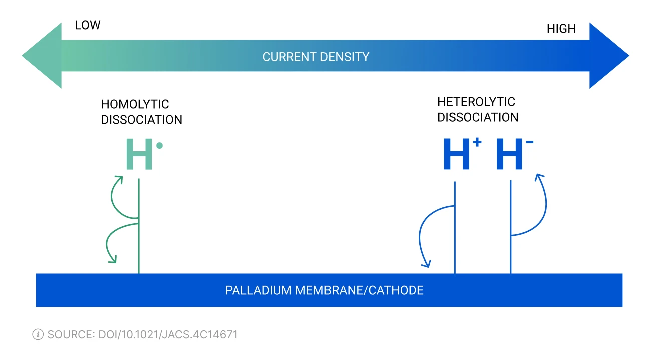 Palladium membrane cathode