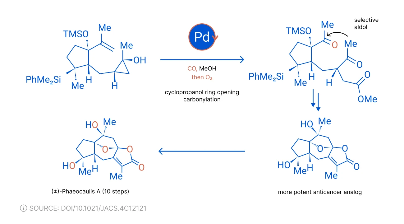 Cyclopropanol ring opening carbonylation