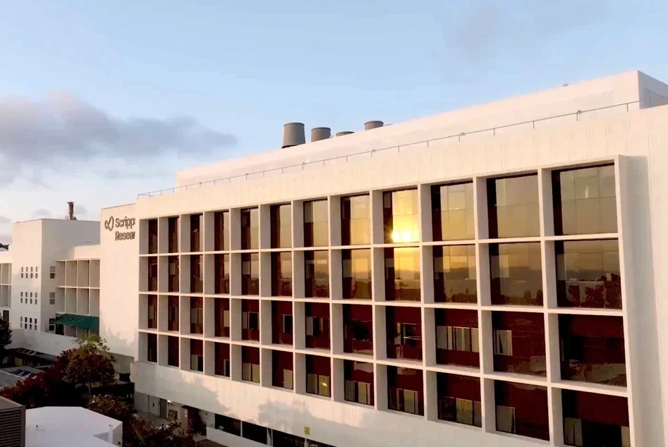 New palladium-catalysed reaction selectively breaks stable hydrogen–carbon bonds in ethers and ketones