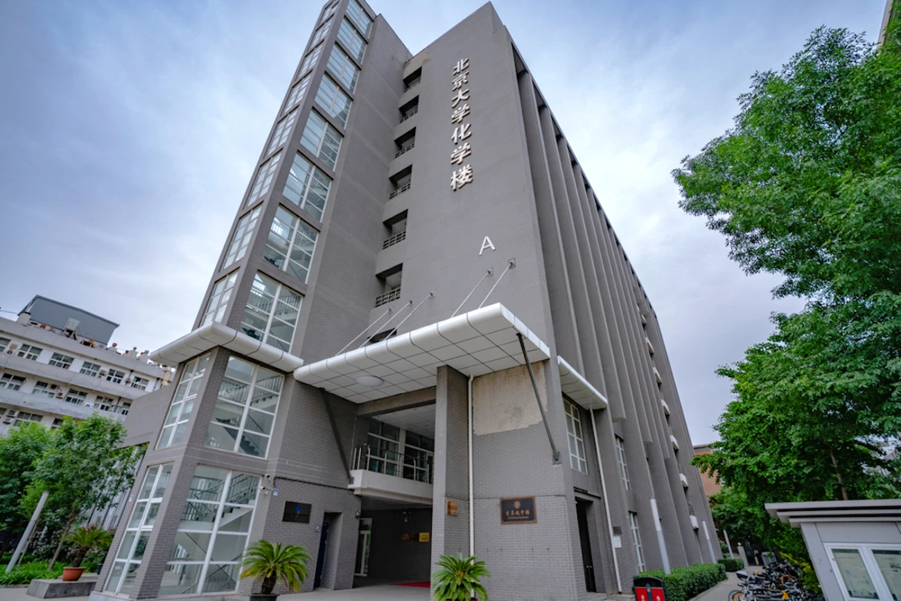 New advances in chain-growth polymerization using palladium intermediates