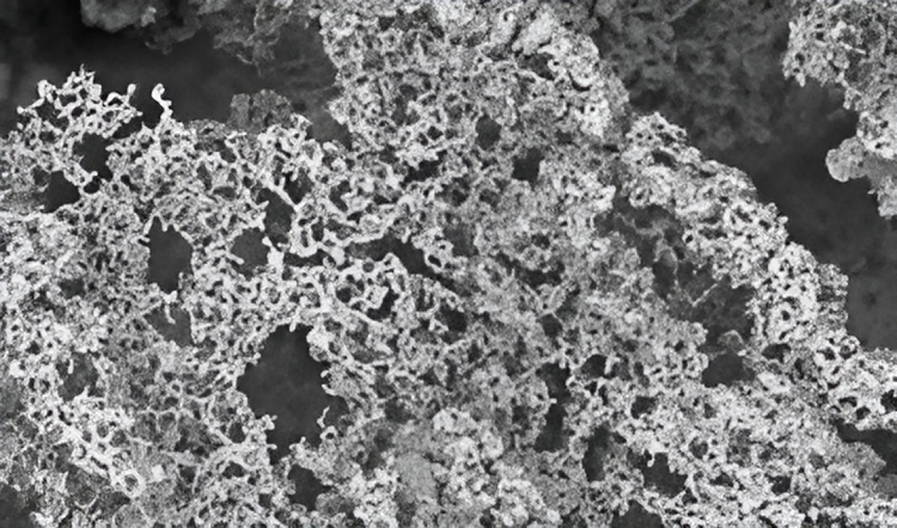 Synthesis and research of carbon and palladium based composites