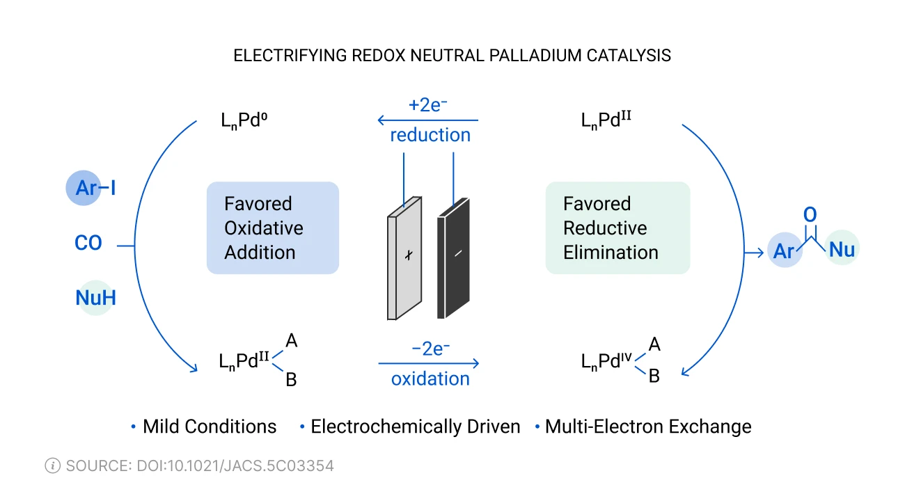 Electrifying Redox Neutral Palladium Catalysis