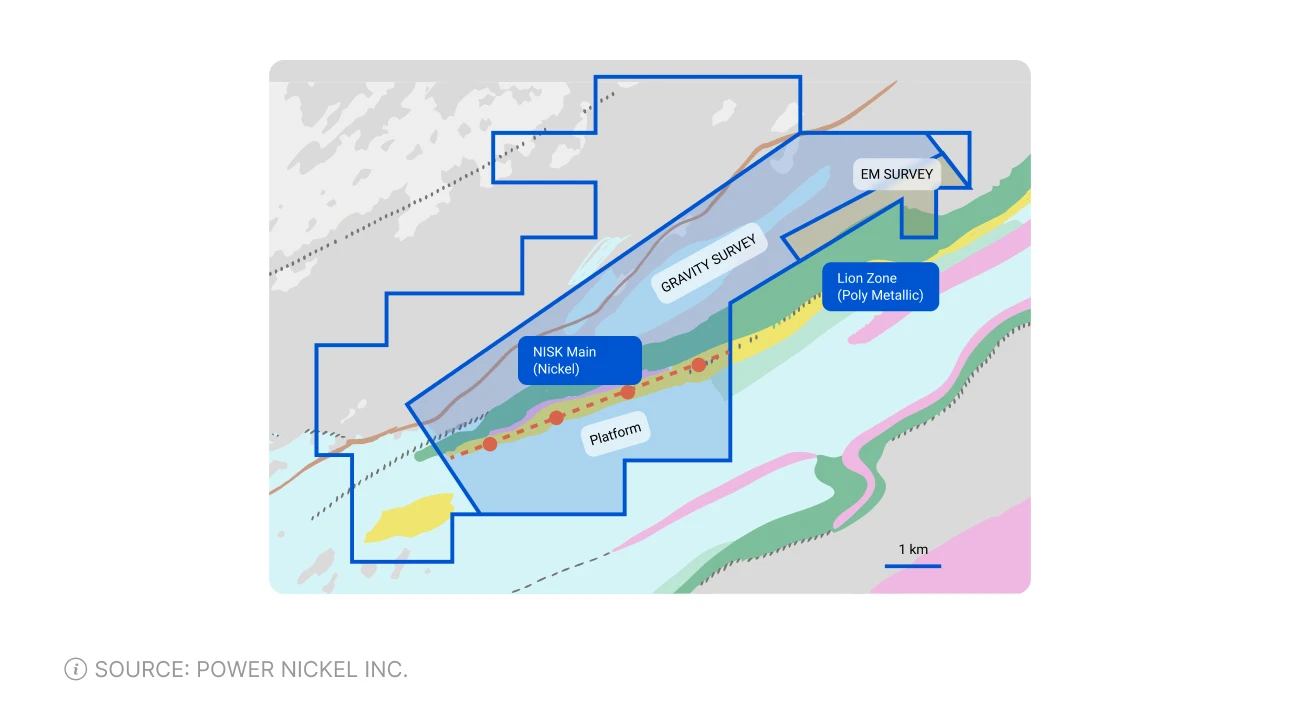 lion project polymetallic mineralisation